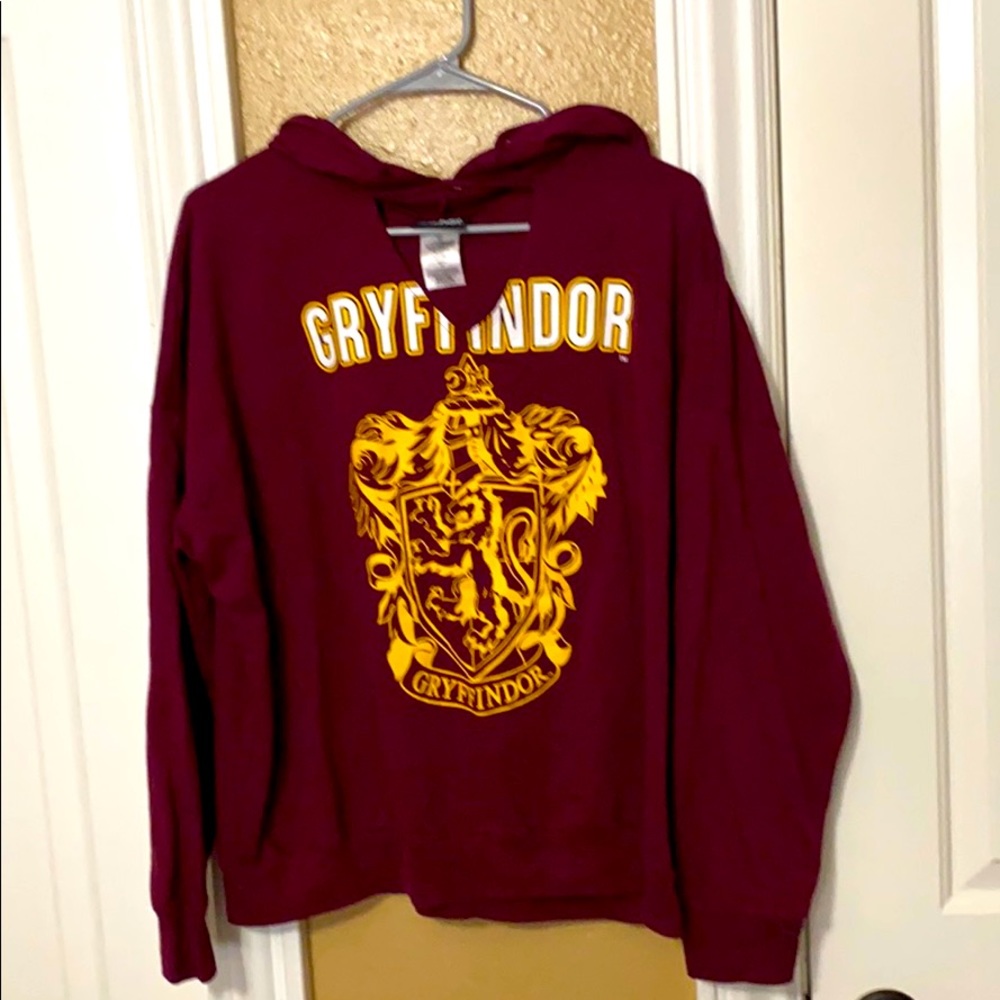 Harry Potter Grgryffindor hoodie